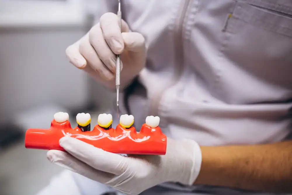 Dental checkup and oral hygiene services at Ember Dental, Deerfield Beach, FL